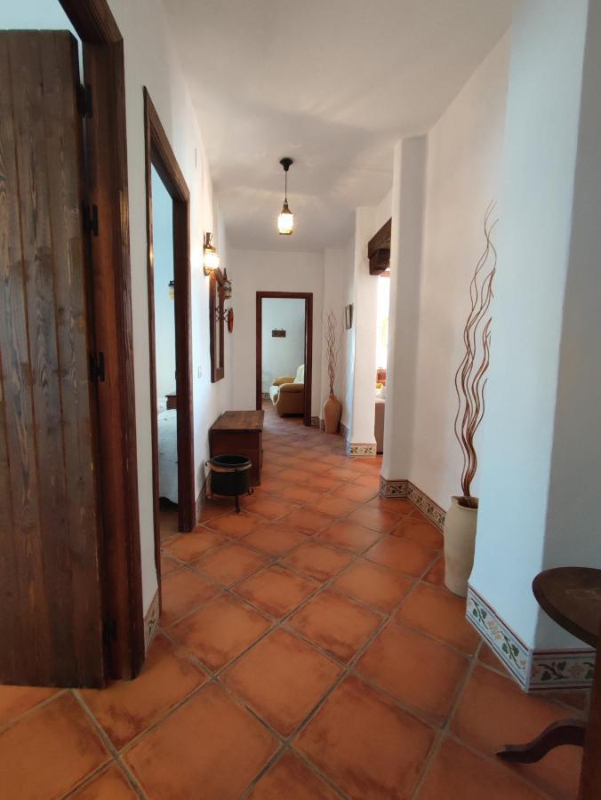 Вілла Casa Antonia Коніль-де-ла-Фронтера Екстер'єр фото